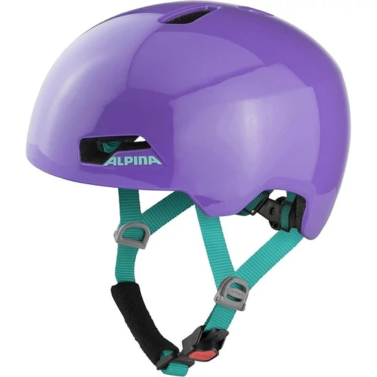 Alpina HACKNEY purple gloss 47-51